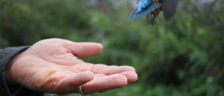 Visuel pour martin granger - petite nature