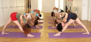 Image illustrant SO'Zen Cte d'Opale : Cours de yoga collectif du lundi  Boulogne