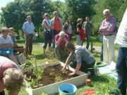 Image illustrant Quelques ides pour amnager son jardin au naturel