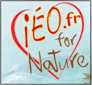Logo reprsentant Ieo for nature